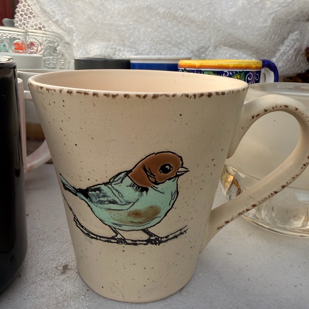 Spring Bird Ceramic Mugs/Cups 16 oz InHomeStylez Spectrum Designz
